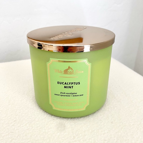 White Barn Accents Nwt White Barn Eucalyptus Mint 3 Wick Candle